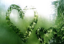 开云下载-今晚德甲？曼城止步利物浦！英超巅峰战引爆全球（官方名单解密）