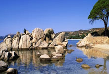 开云体育中国-PSG碾压DFM，Canyon完成史诗逆转入围赛3:0